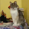Отзыв от Ксения Савина